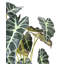 Plante artificielle en pot 20 po Alocasia