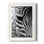 Zebra Colt - Photographie avec cadre photo-1635737487-1635737485