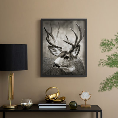 Focused Buck Framed Print - Solid Wood
