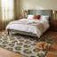 Tapis Pellitory à motifs animaux, vert, gris et crème, antidérapant, à poils courts, pour l'intérieur et l'extérieur, adapté aux animaux de compagnie, salon, chambre, salle à manger, entrée, corridor, bureau, lavable-51317103