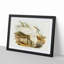 Spotless Egrets by Elizabeth Gould - Picture Frame Painting Print-55619599-55619598