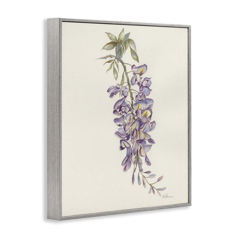 «Delicate Hyacinths Study», estampe numérique, conception de Cady, 14 x 11, Farmhouse Grey Giclee Framed