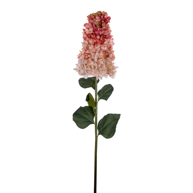 Hydrangea Stem, Salmon