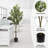70.8"H Artificial Olive Tree 1pc/set