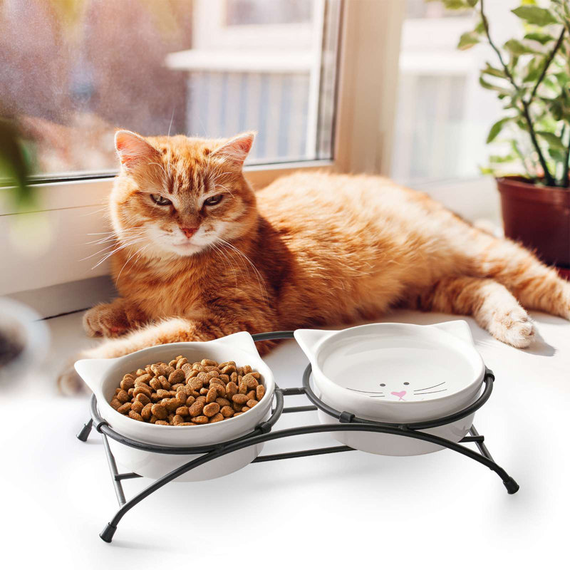 Mangeoire pour chat Elevate, Blanc