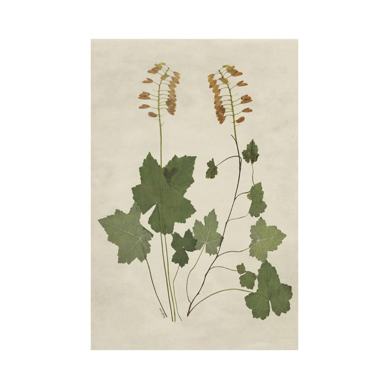 Botanical Leaves IV, Does Not Apply, 45.72 cm H x 30.48 cm W x 1.905 cm D