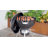 22" Kettle Charcoal Grill, Black