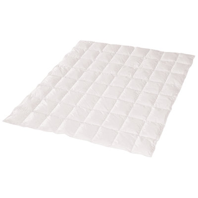 All Season Down Alternative Comforter