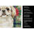 Cream Pekingese Christmas PoinsettIas Kitchen Towel-2080583790