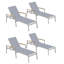 Travira Outdoor Chaise Lounge-1919204429-1919204422-1919204431