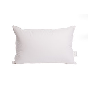 Home Range Duck Feather Soft Pillow Pair
