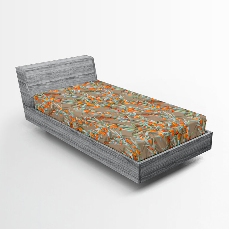 Drap-housse Ambesonne