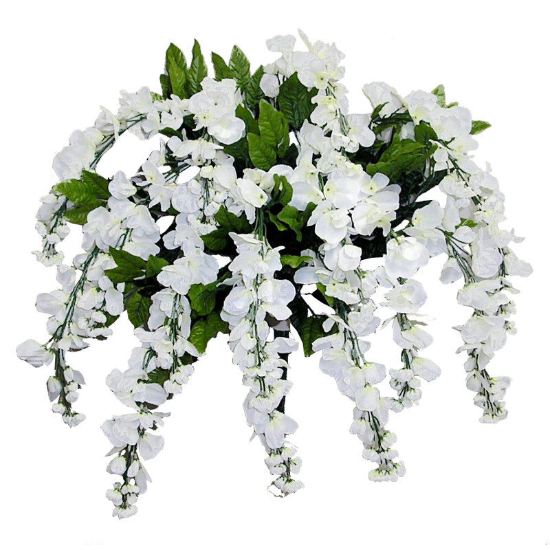 Tiges de glycine, Crème