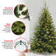6' Lighted Artificial Spruce Christmas Tree