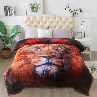 Couverture Croyd