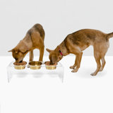 Tall Clear Triple Dog Bowl Feeder with Bowls