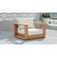 Gazel Teak Patio Chair with Cushions-86506441