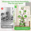 Support pour plante d'intérieur 62 po avec lumières de culture, support à 8 niveaux en forme de pointes pour le salon, le patio et le balcon