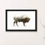 « bison » par riza peker-impression sur image-49906043-49906044