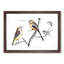 Tail Tit Birds by Johan Teyler - Framed Print-55729691-55729692
