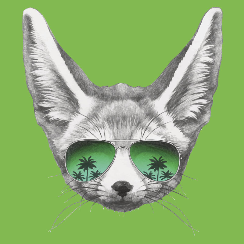 Portrait Of Fennec Fox With Mirror Sunglasses. - Wrapped Canvas Print, 30cm H x 30cm W x 3.8cm D