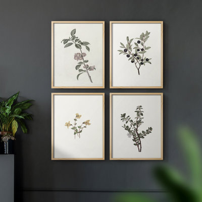 «Vintage Floral Print CLXIV», 4 pièces