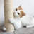 PETMAKER Cat Scratching Post - Scratcher Posts with Carpeted Scratch Pad Base and Perch - Furniture Scratching Deterrent for Indoor Cats-70897451