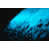 Turquoise sélectionné