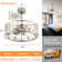 20'' Ceiling Fan with Light Kit