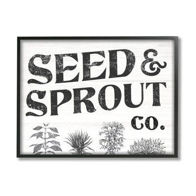 " Seed & Sprout Antique " by Daphne Polselli
