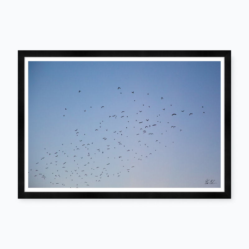 Murmur Iv par Tim Klein - Photographie avec cadre photo