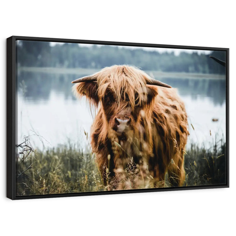 Brampt Lakeside Highland Cow, H 9 po x l 13 po