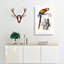Parrot And Woodpecker by Charles D' Orbigny - Wrapped Canvas Print-55366667