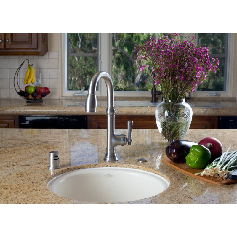 Jacobean Single Handle Pull Down Bar Faucet, Stainless Steel (PVD)