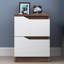 13.8'' W Particle Board / Chipboard Nightstand-983024842-983024843