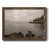 Noyer