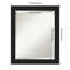 Miroir mural Jitender-1851775593