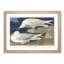 White-Winged Silvery Gull by John James Audubon - Framed Print-55641921-55641923