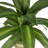 Callender 24'' Faux Dracaena Plant in Wicker/Rattan Basket
