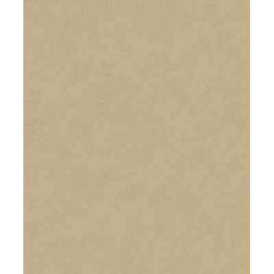 Galerie Terra Plaster Effect Eco Clay Wallpaper