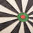 Eclipse Pro Bristle Dartboard