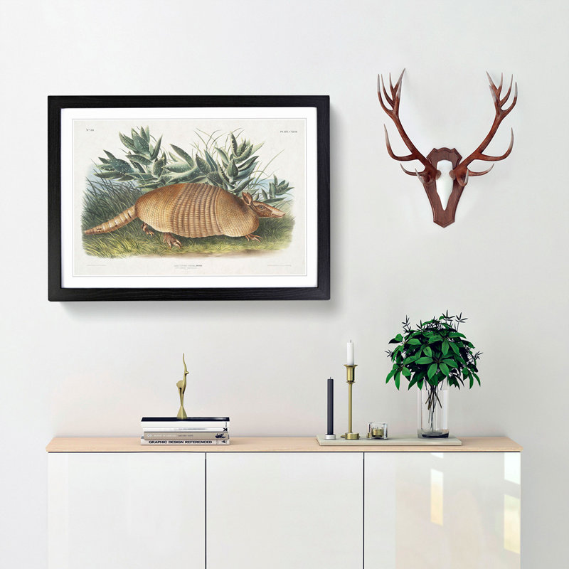 Armadillo 1 Piece Single Picture Frame Painting, 33cm H x 45cm W x 2cm D, Black