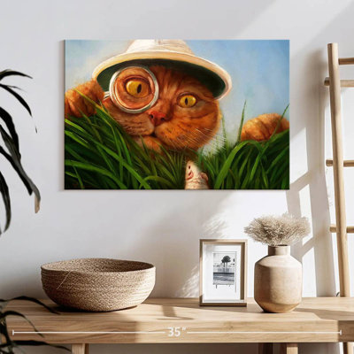 Brampt Explorer Cat