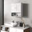 Wall Mounted Medicine Cabinet With Open Shelf & Adjustable Shelf