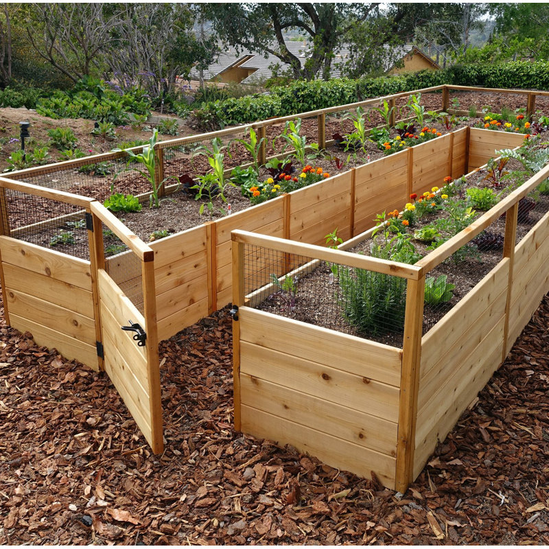 8 ft. W x 16 ft. D Cedar Garden in a Box