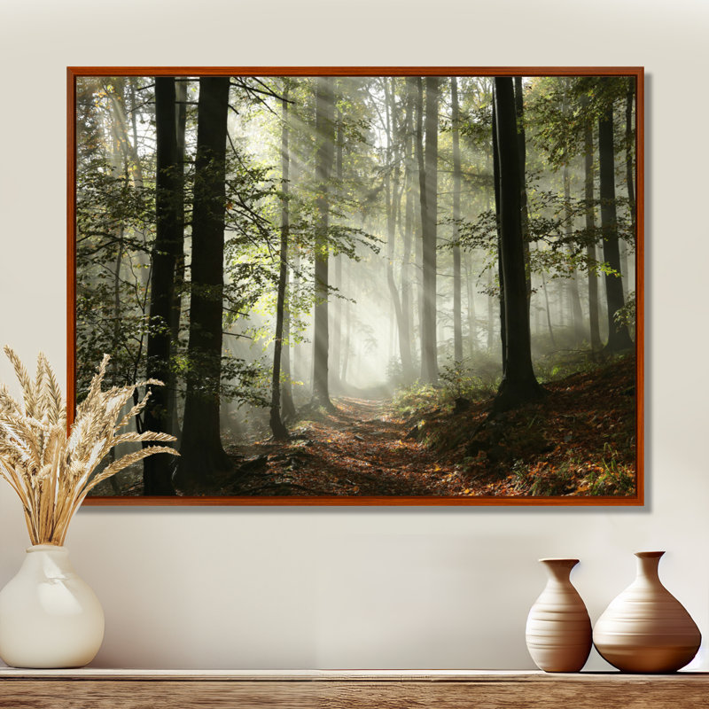 Lumière dans une forêt d'automne dense avec brouillard, œuvre d'art, H 16 po x l 32 po, Reproduction avec cadre flottant