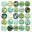 Green circles - 36"x36" Framed canvas