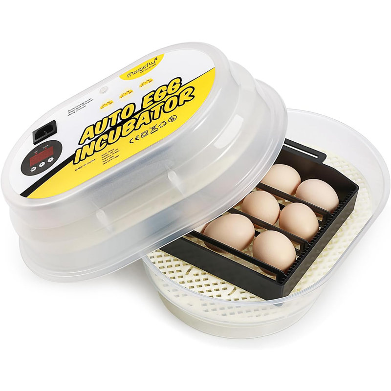 Magicfly Mini Egg Incubators for Hatching Eggs, with Automatic Egg Turning, 9-12 Eggs Hatching Incubator for Chickens, Ducks, Goose, Birds