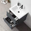 Colmar 24" W Single Wall Mounted Vanity-1966705835