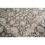 Dharma Oriental Area Rug in Camel/Brown